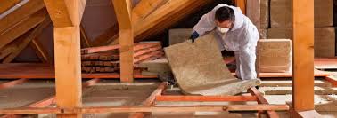 Best Crawl Space Insulation  in Lely Resort, FL